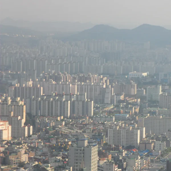 아로마 세정포레스트 홈타이 제휴업체 이미지